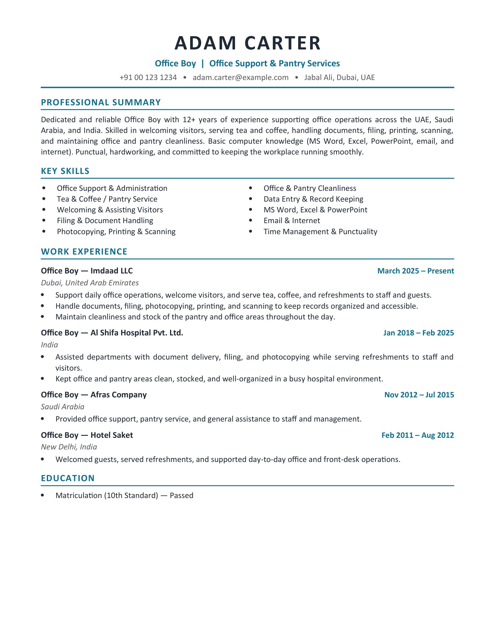 Basic Resume design #17