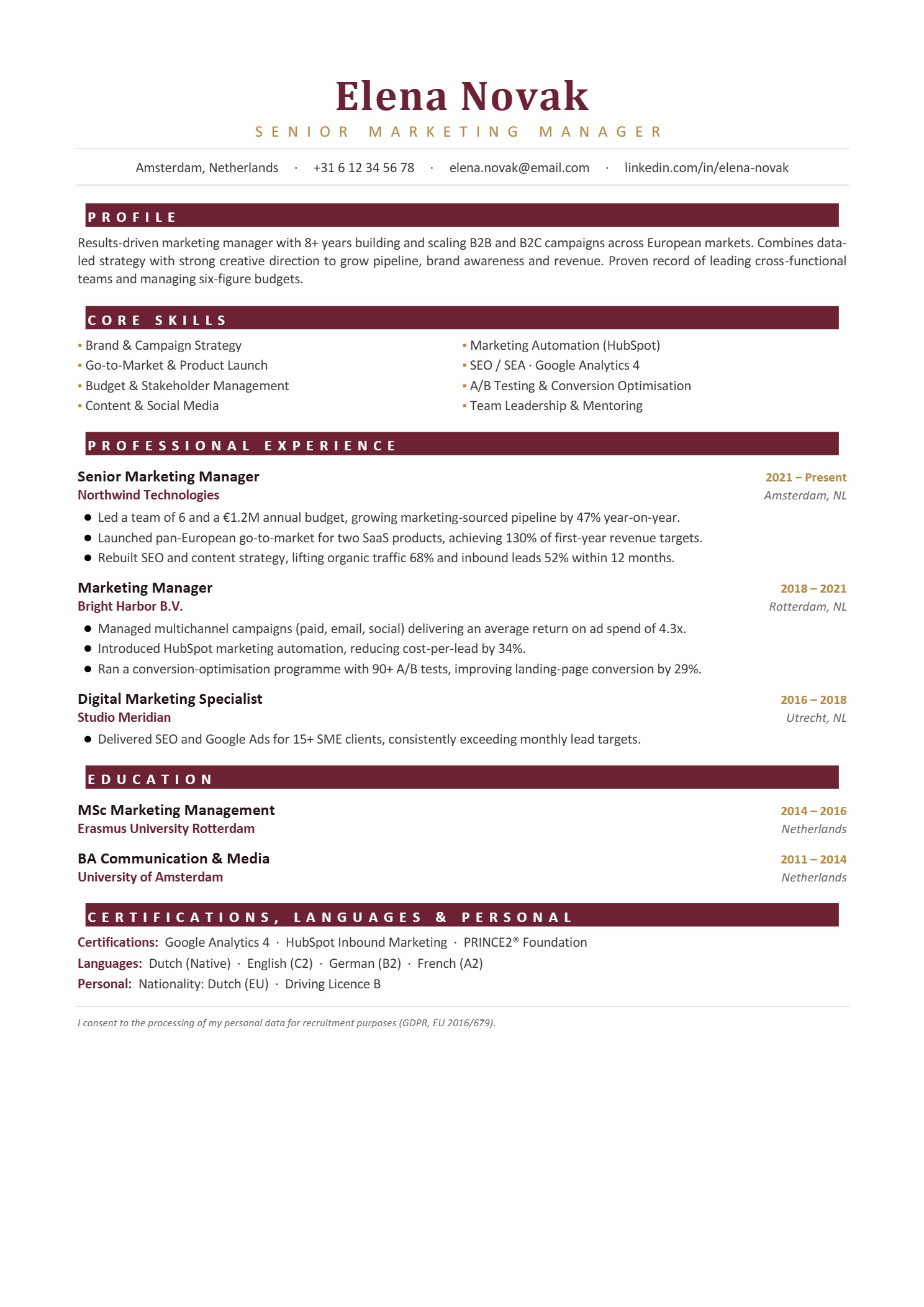 Basic Resume design #20