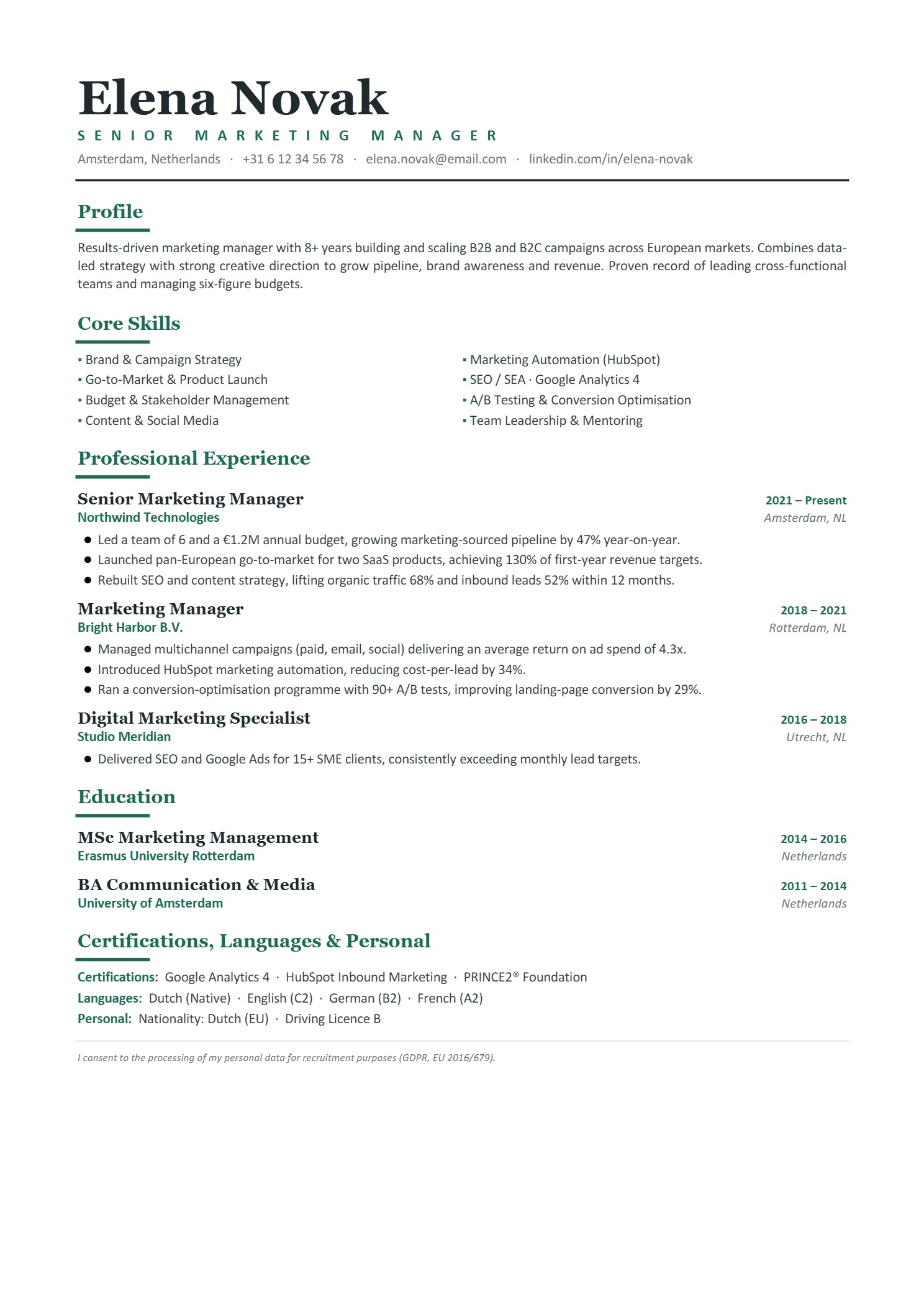 Basic Resume design #21