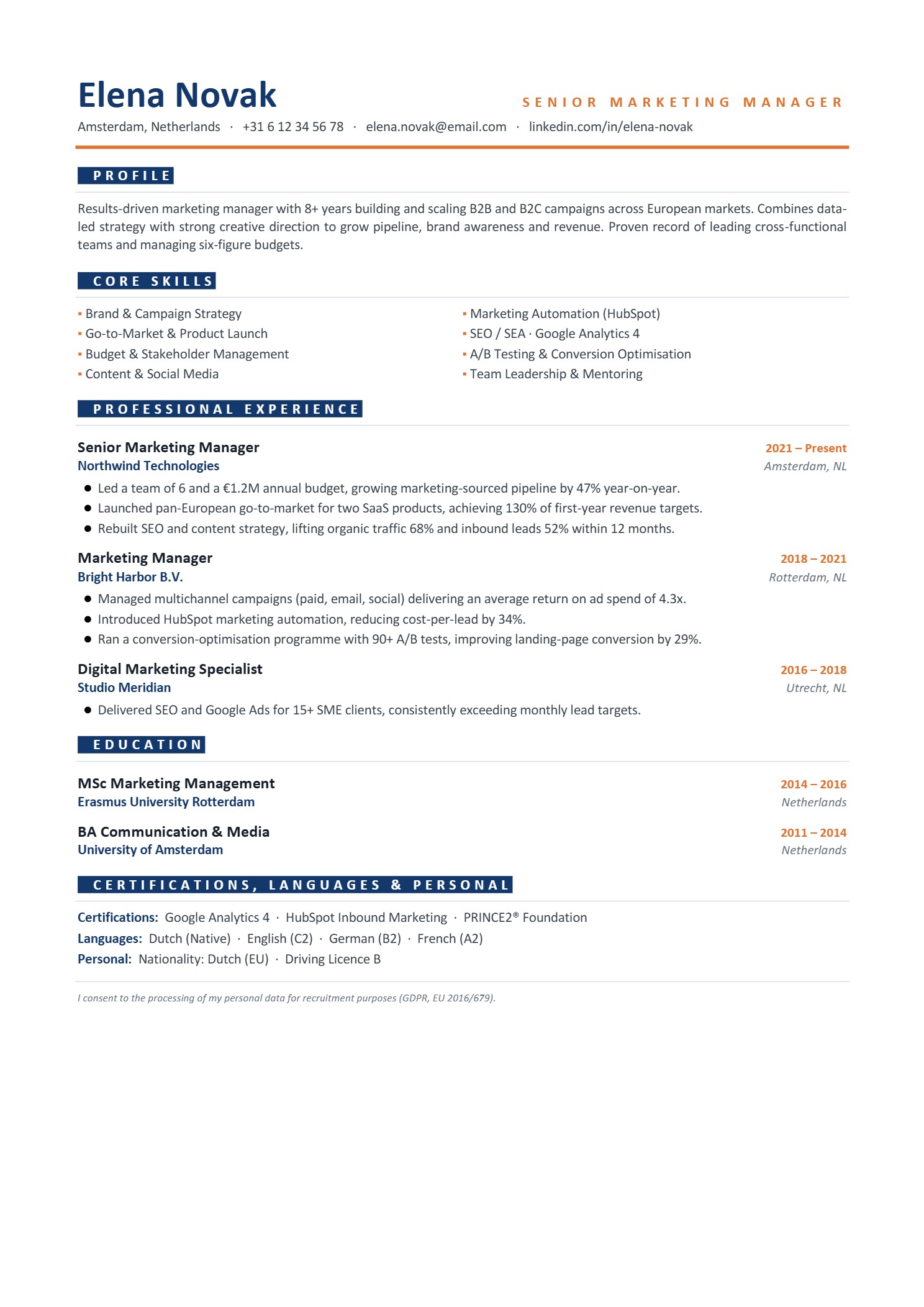 Basic Resume design #22