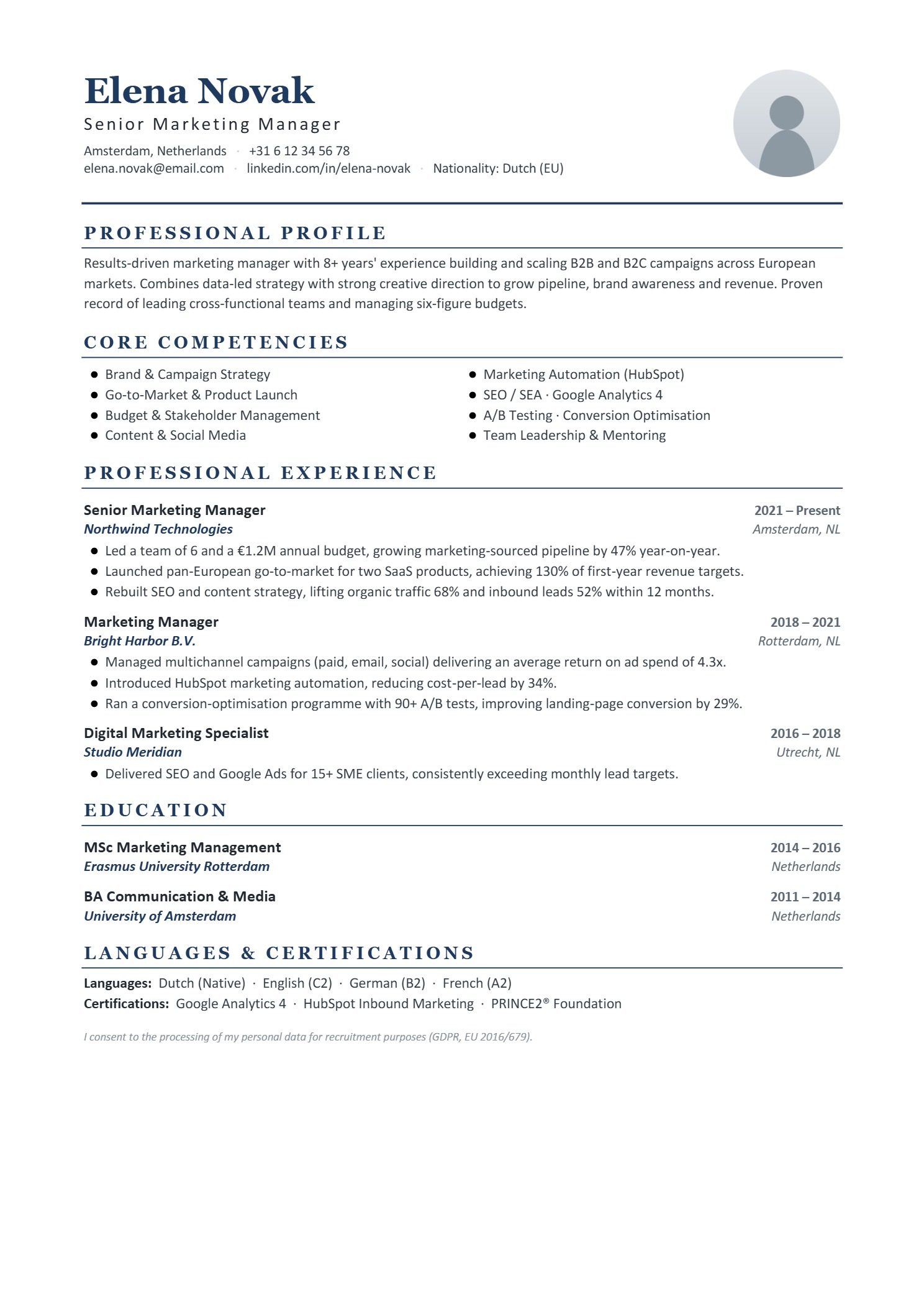 Basic Resume design #23