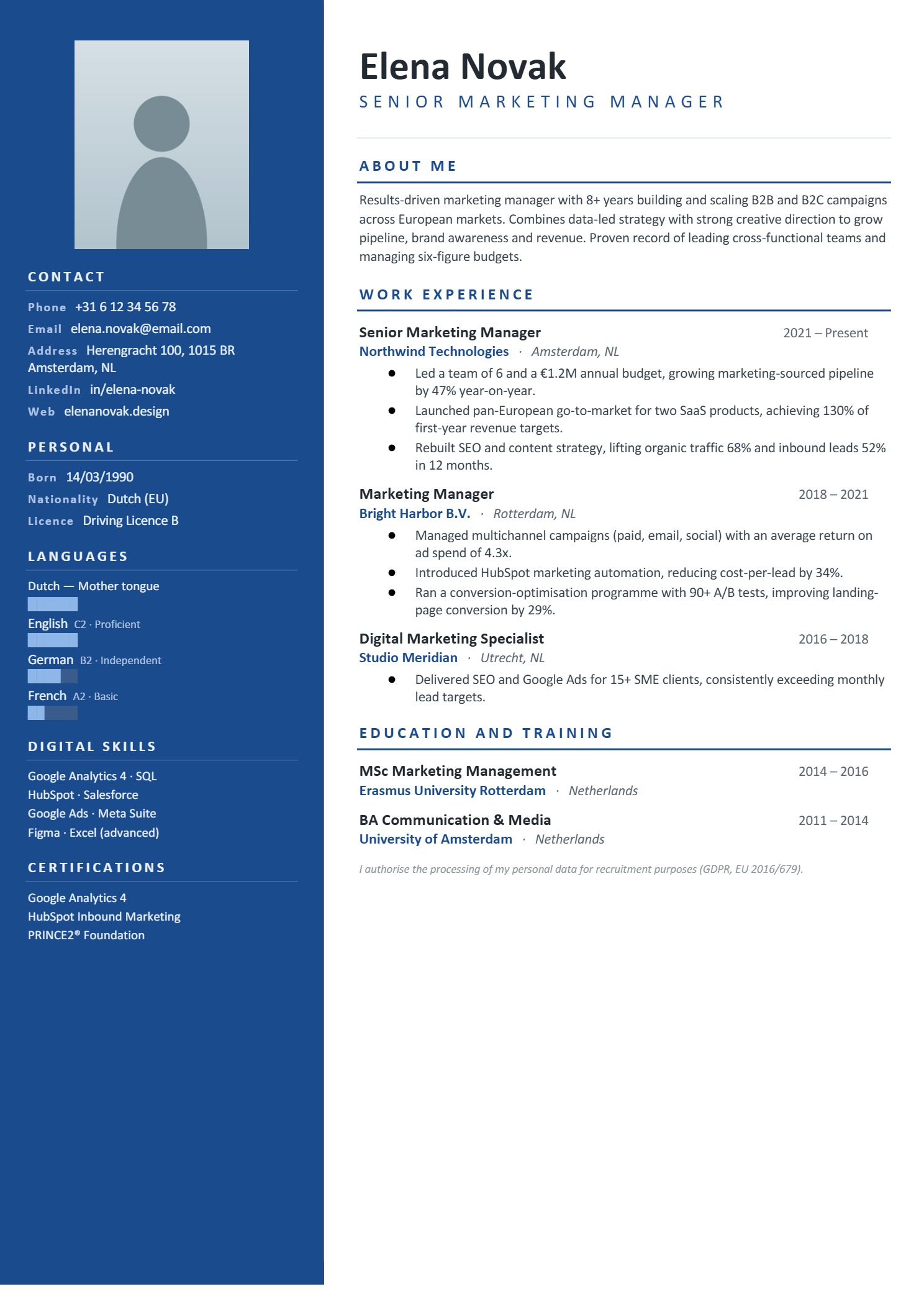 Basic Resume design #24