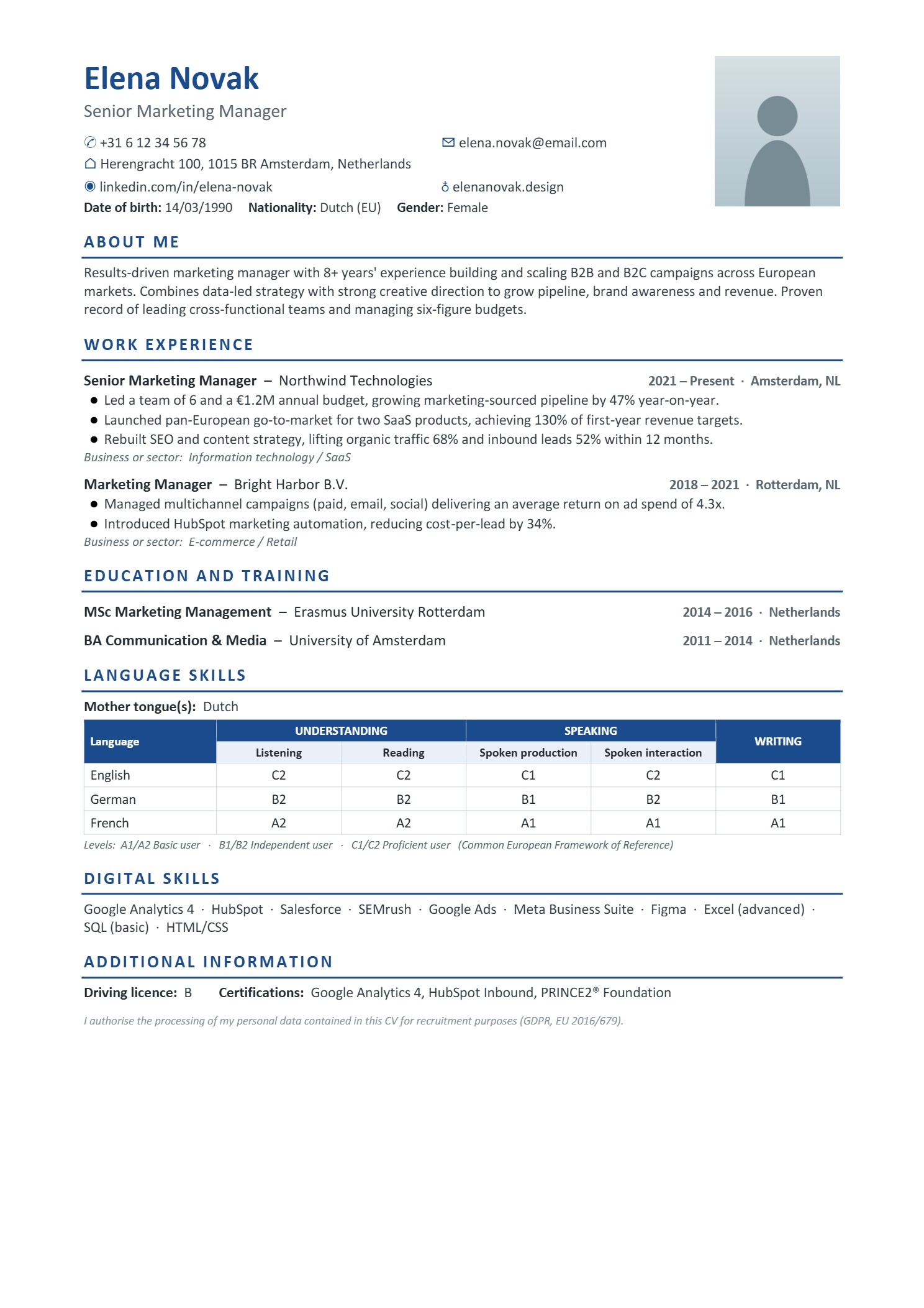 Global resume design #15