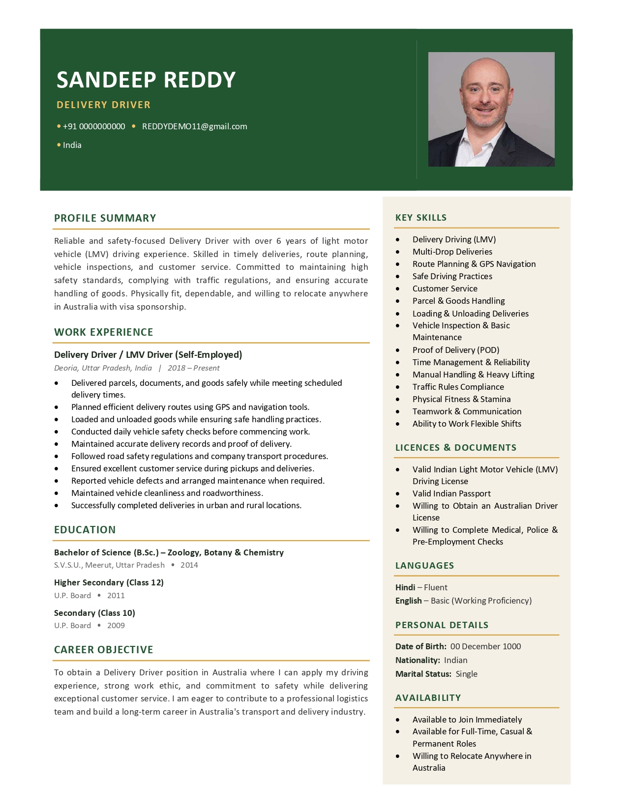 Global resume design #8