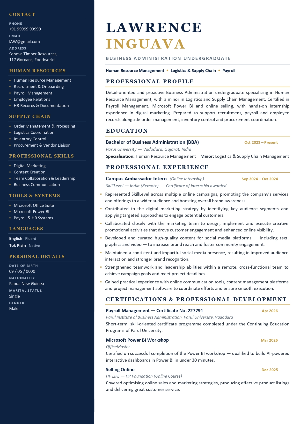 Global resume design #9