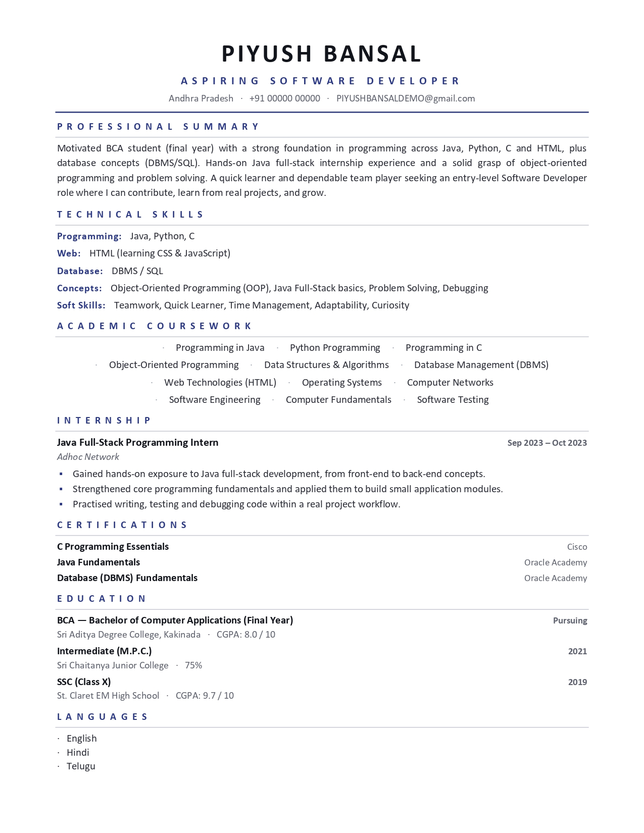Premium resume design #13