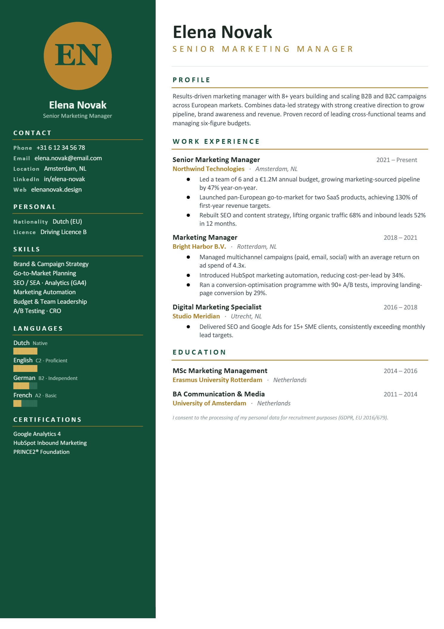 Premium resume design #21