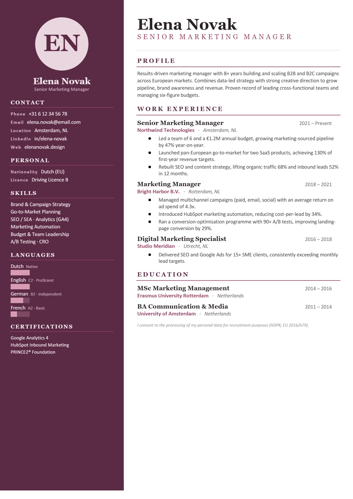 Premium resume design #22