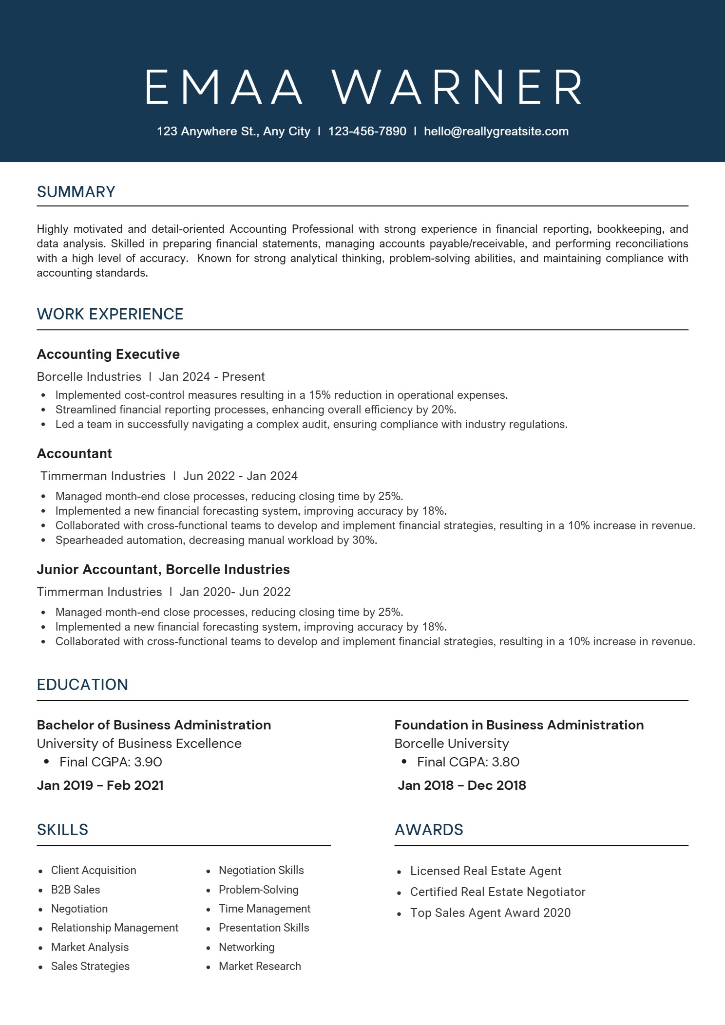 Premium resume design #24