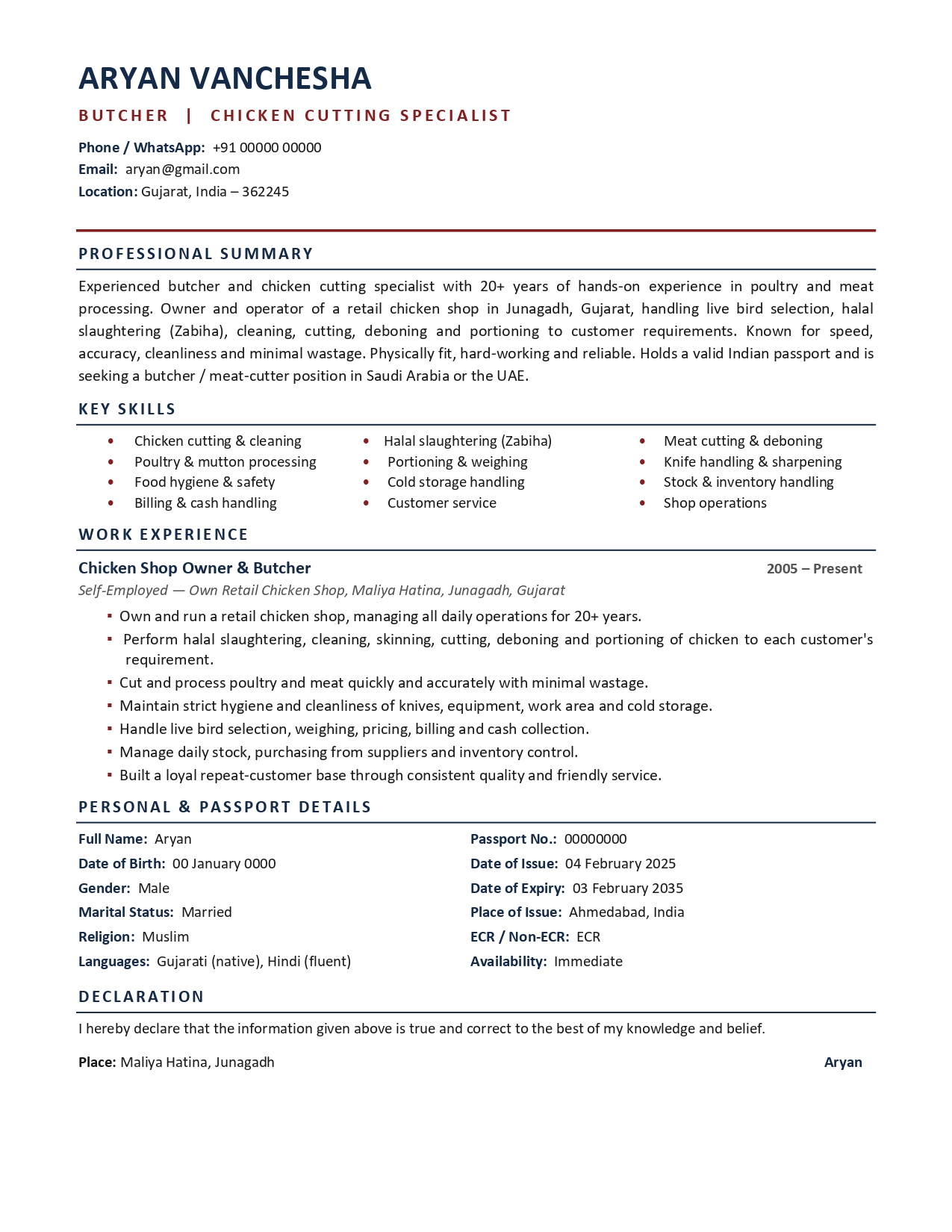 Premium resume design #9